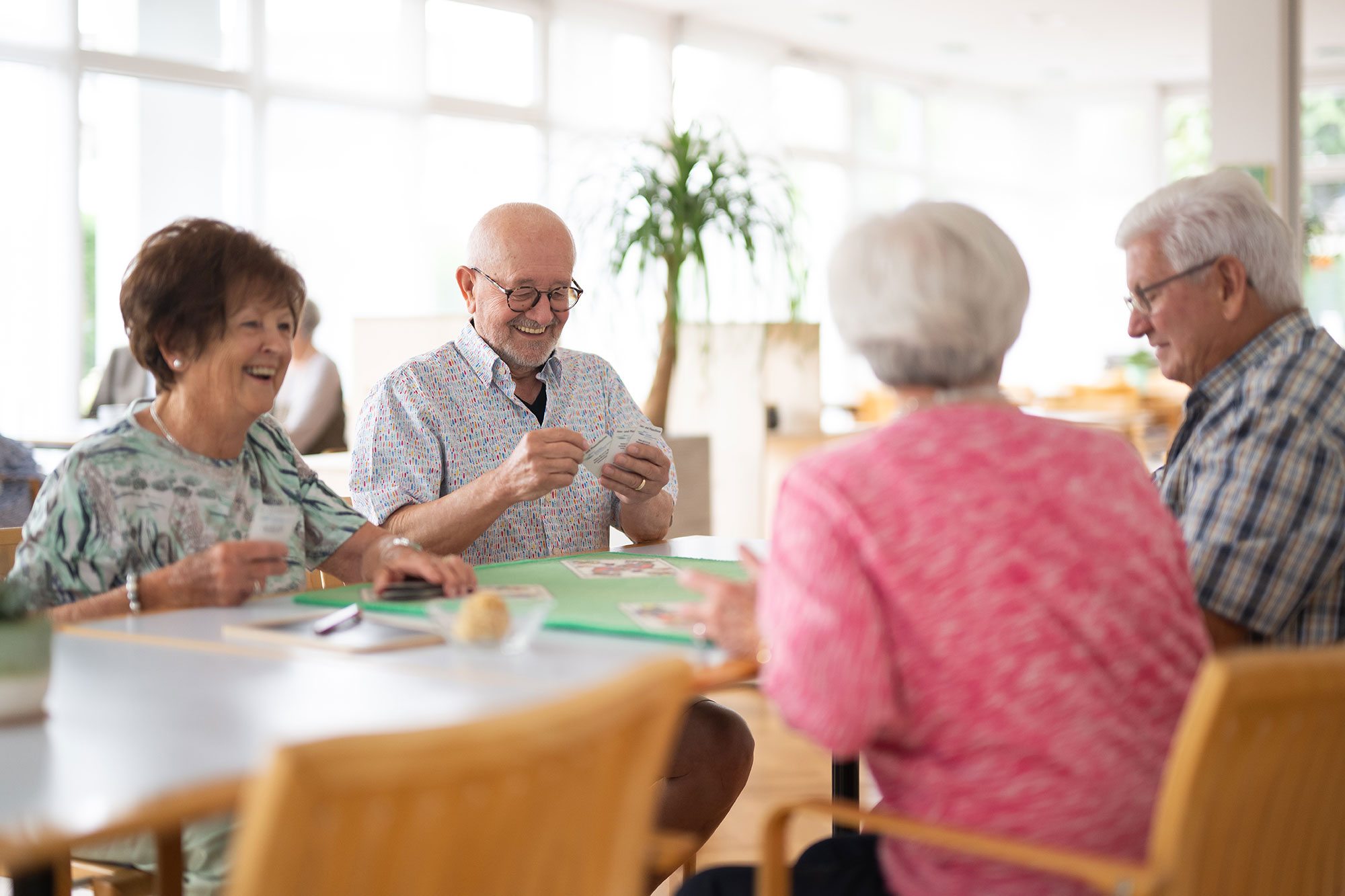 3 ½ Zimmer-Wohnungen